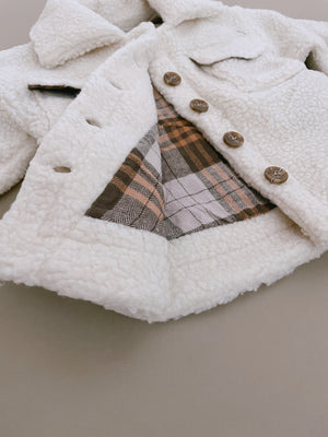 Teddy Shacket - Frosted Sugar - Orcas Lucille